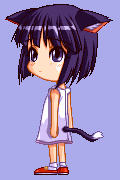 楓ネコ